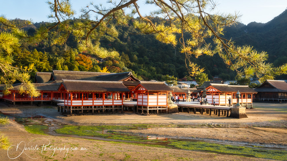 Miyajima  Itsukushima Shrine in autumn